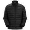 Arc'teryx Men's Cerium Jacket - Black